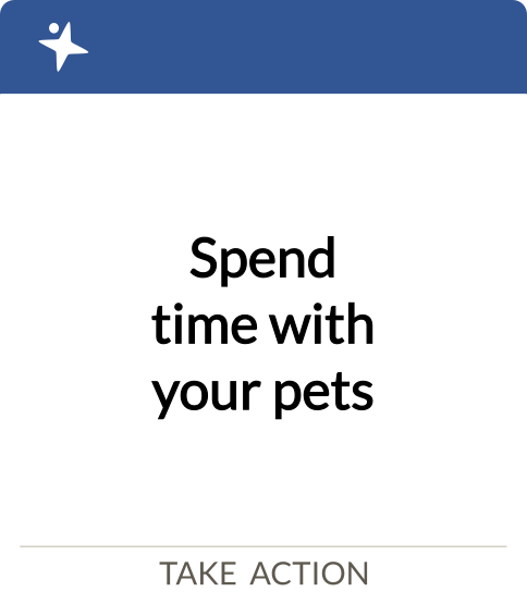 spend time with your pets